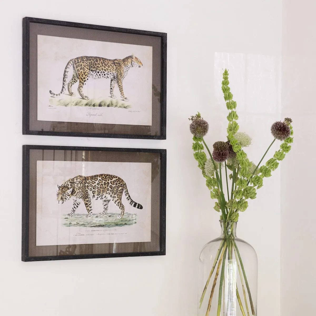 Brockby Set of Two Framed Leopard Wall Art 50cm