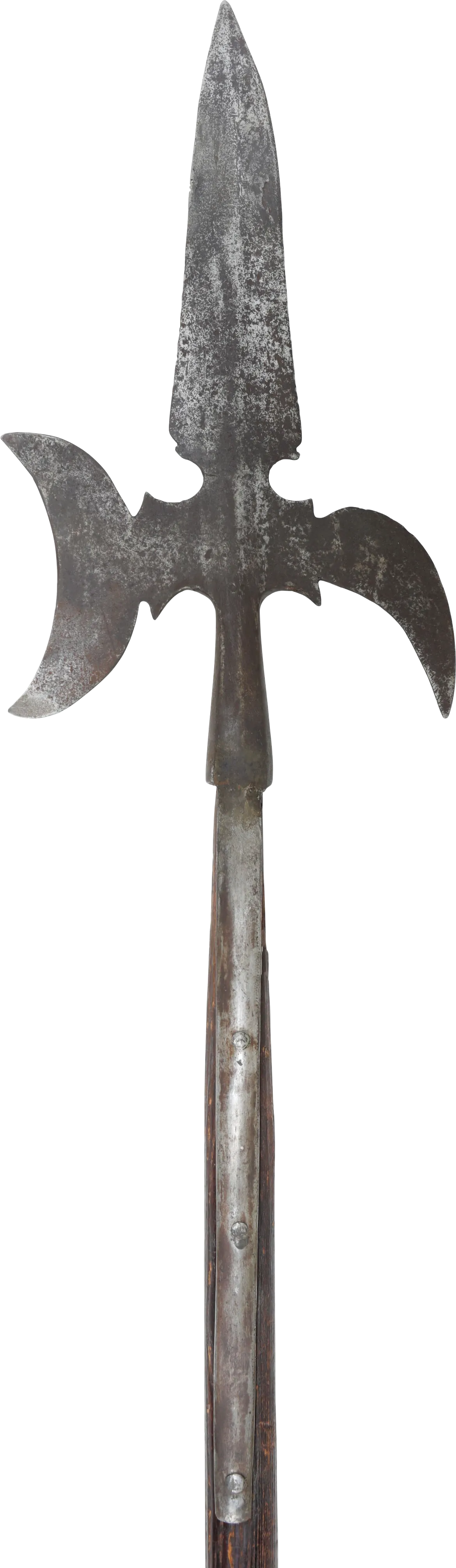 REVOLUTIONARY WAR AMERICAN HALBERD