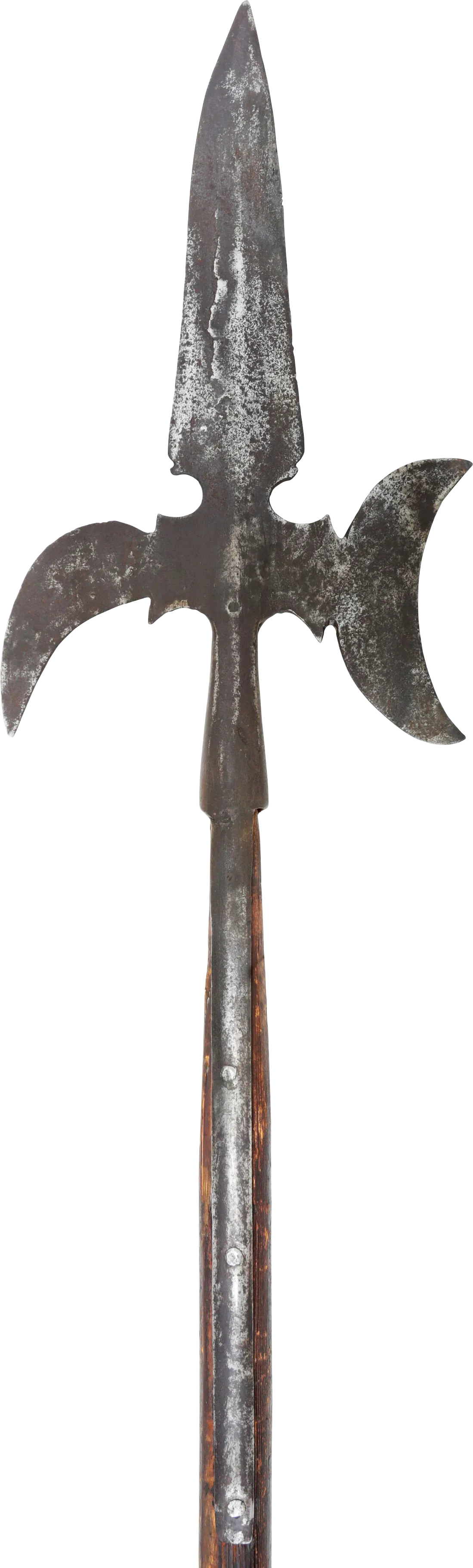 REVOLUTIONARY WAR AMERICAN HALBERD